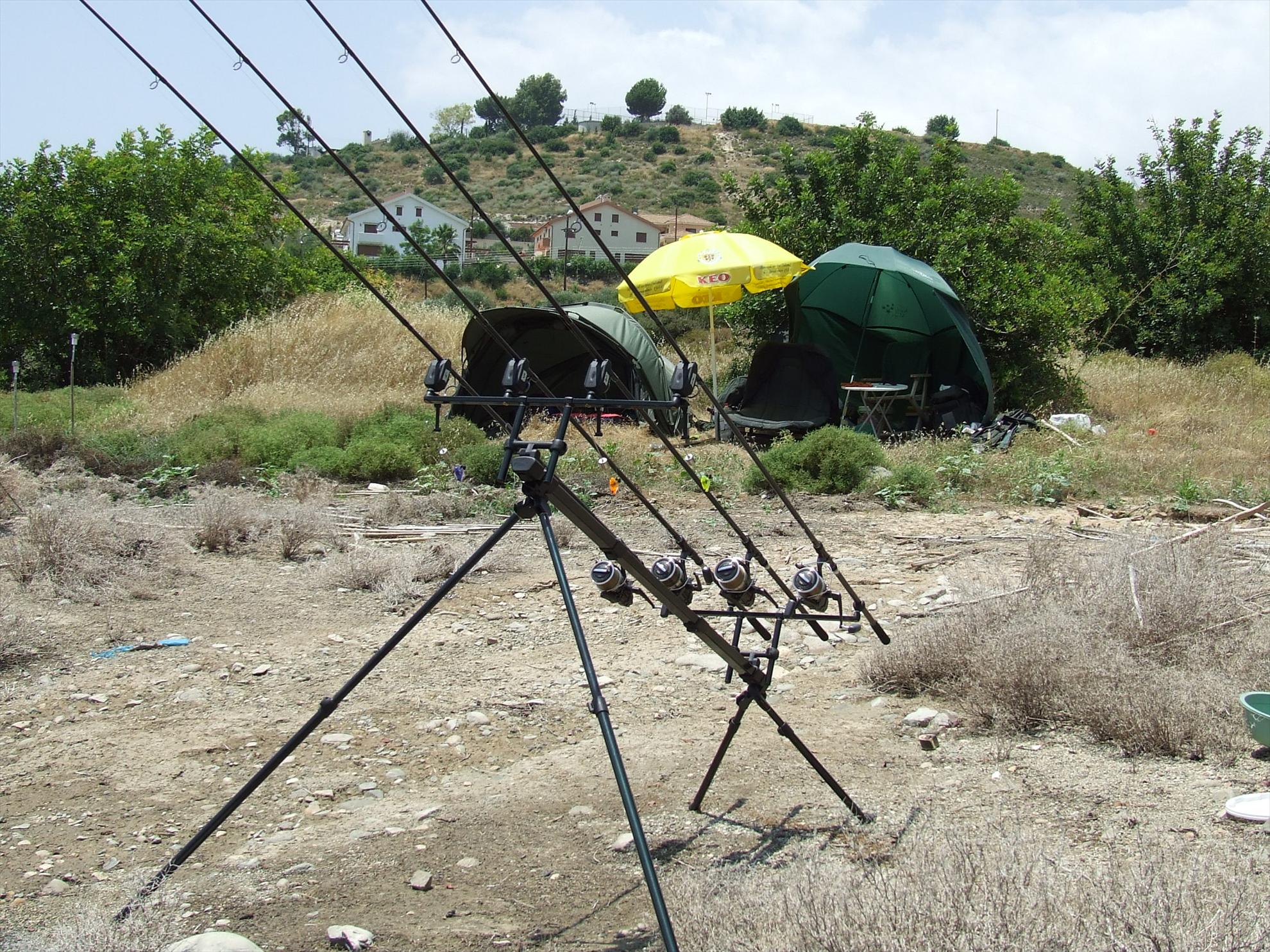 Crapi de Cipru - dscf2244.JPG